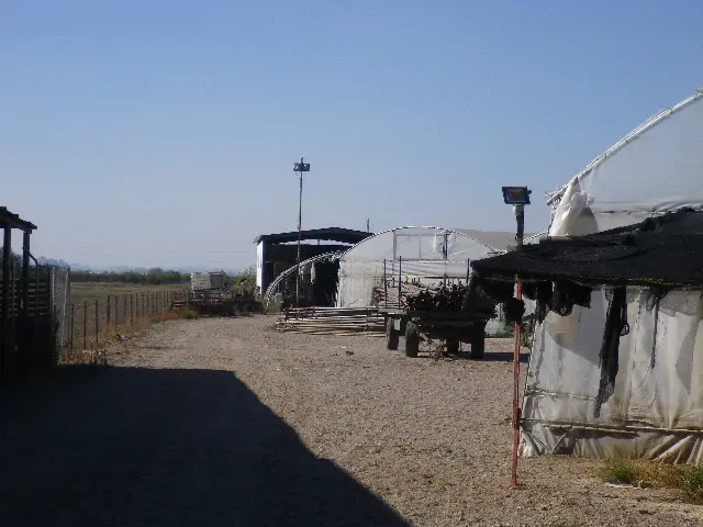 Finca rústica en Montijo