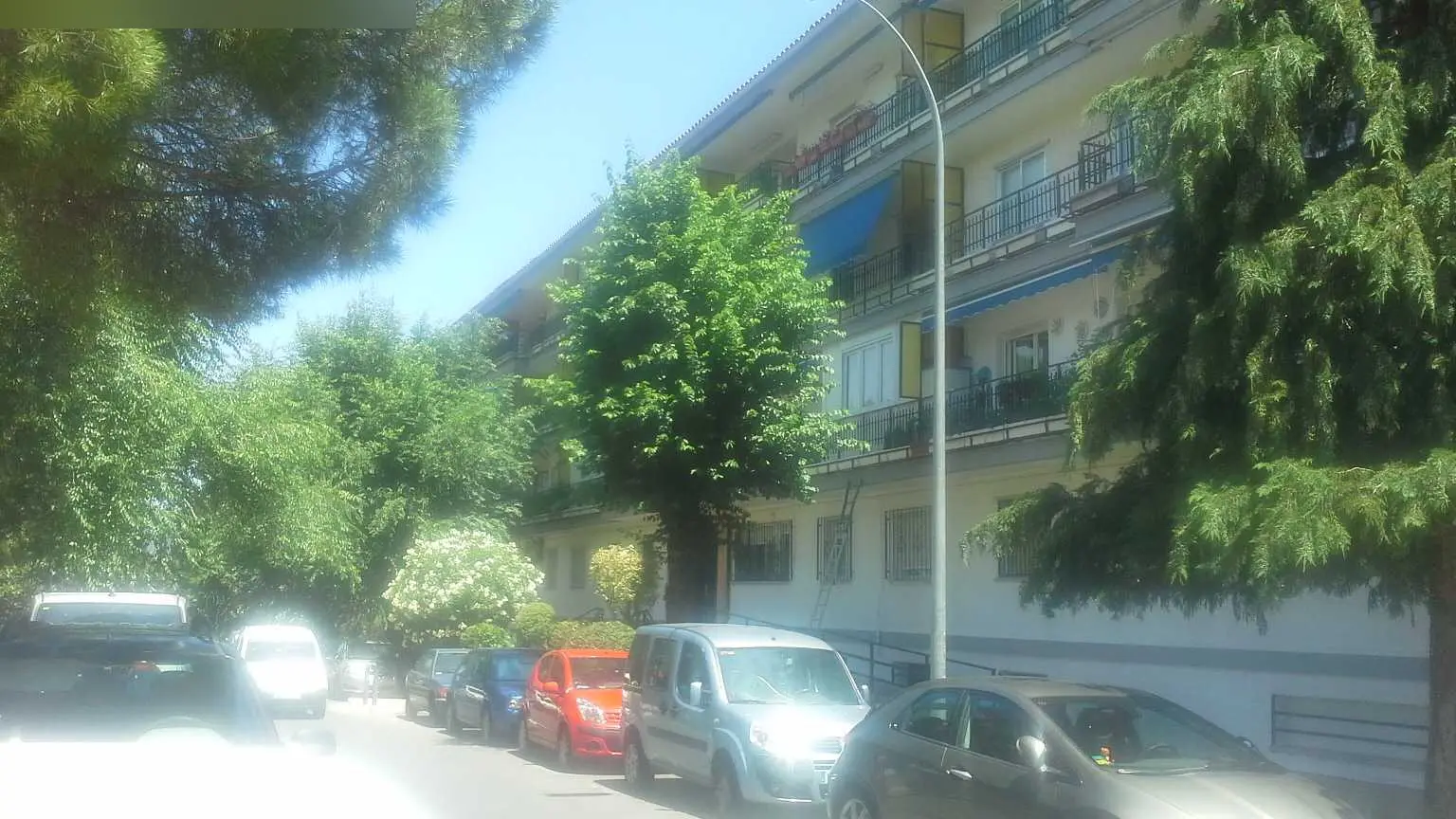 Local en Collado Villalba