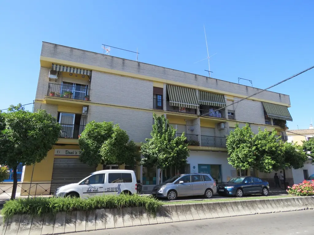 Vivienda en Palma del Río