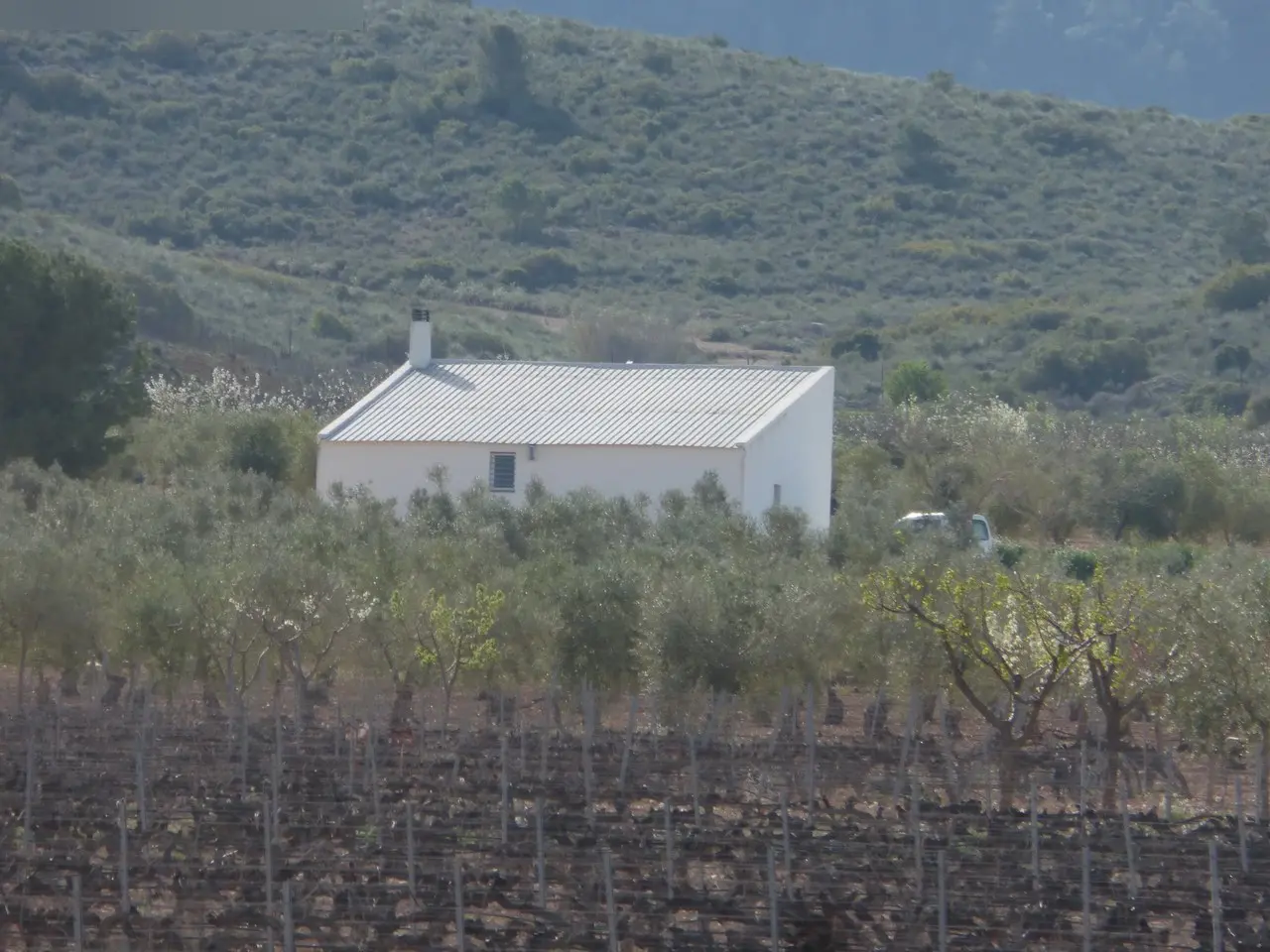 Finca rústica en Yecla