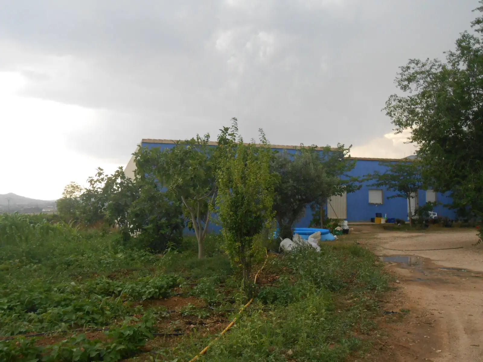 Finca rústica en Caudete