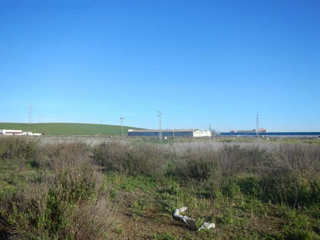 Terreno en Santiponce