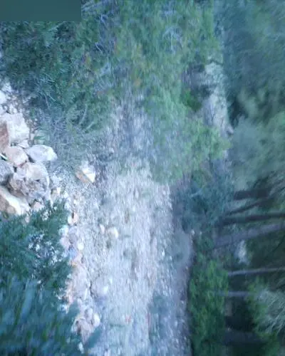 Terreno en Llucmajor