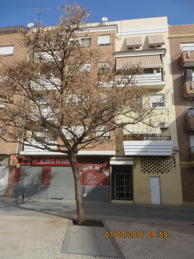 Local en Torrent