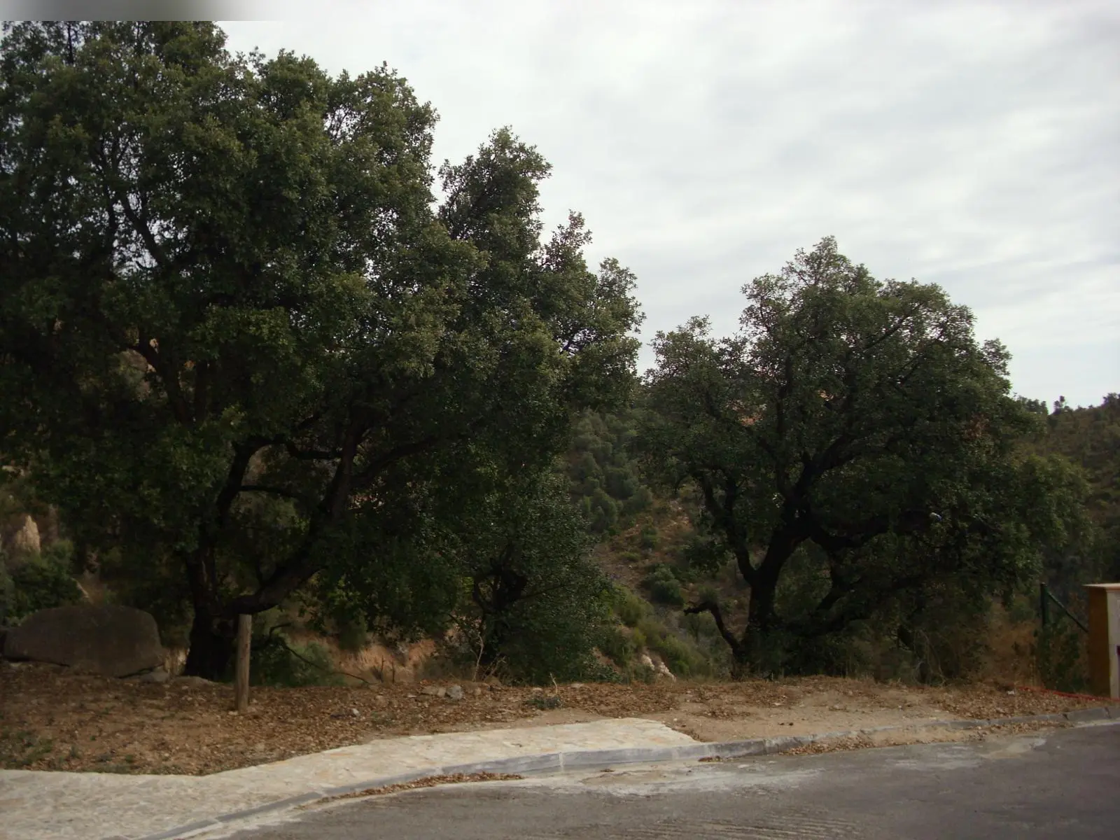 Terreno en Platja d'Aro i s'Agaró Castell d'Aro