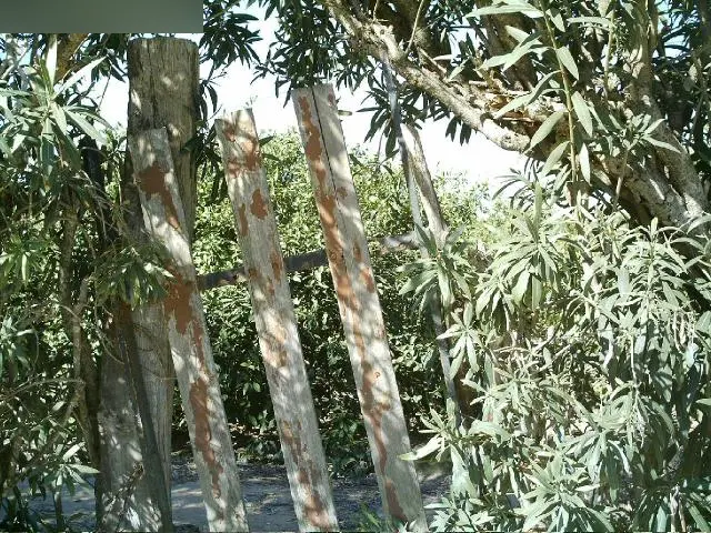 Terreno en Sueca