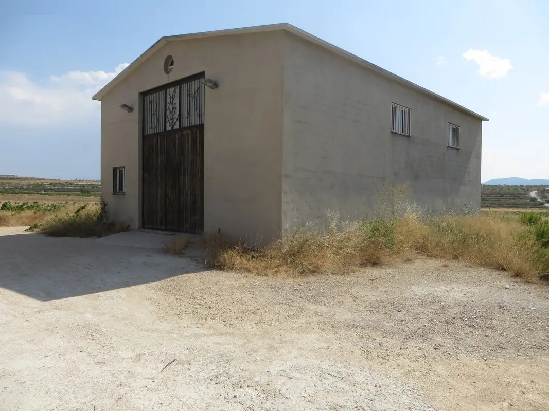 Finca rústica en Bullas