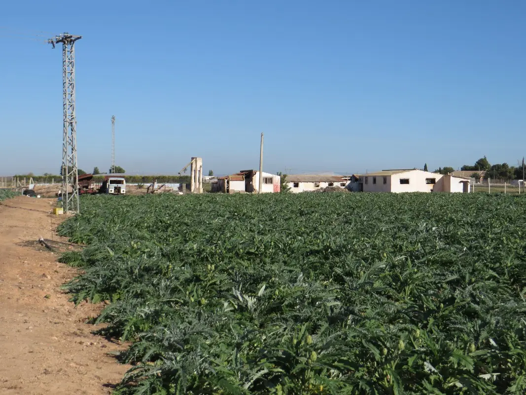 Finca rústica en San Javier