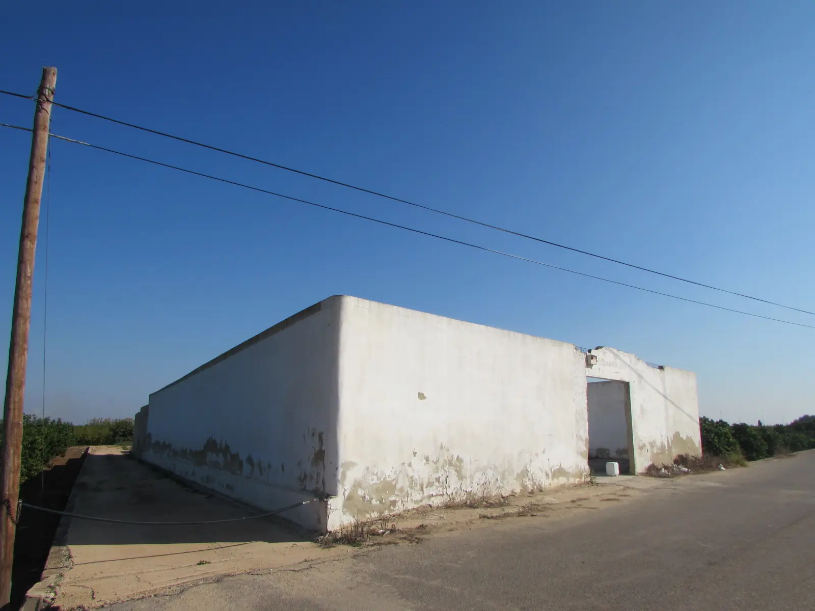 Finca rústica en Algemesí
