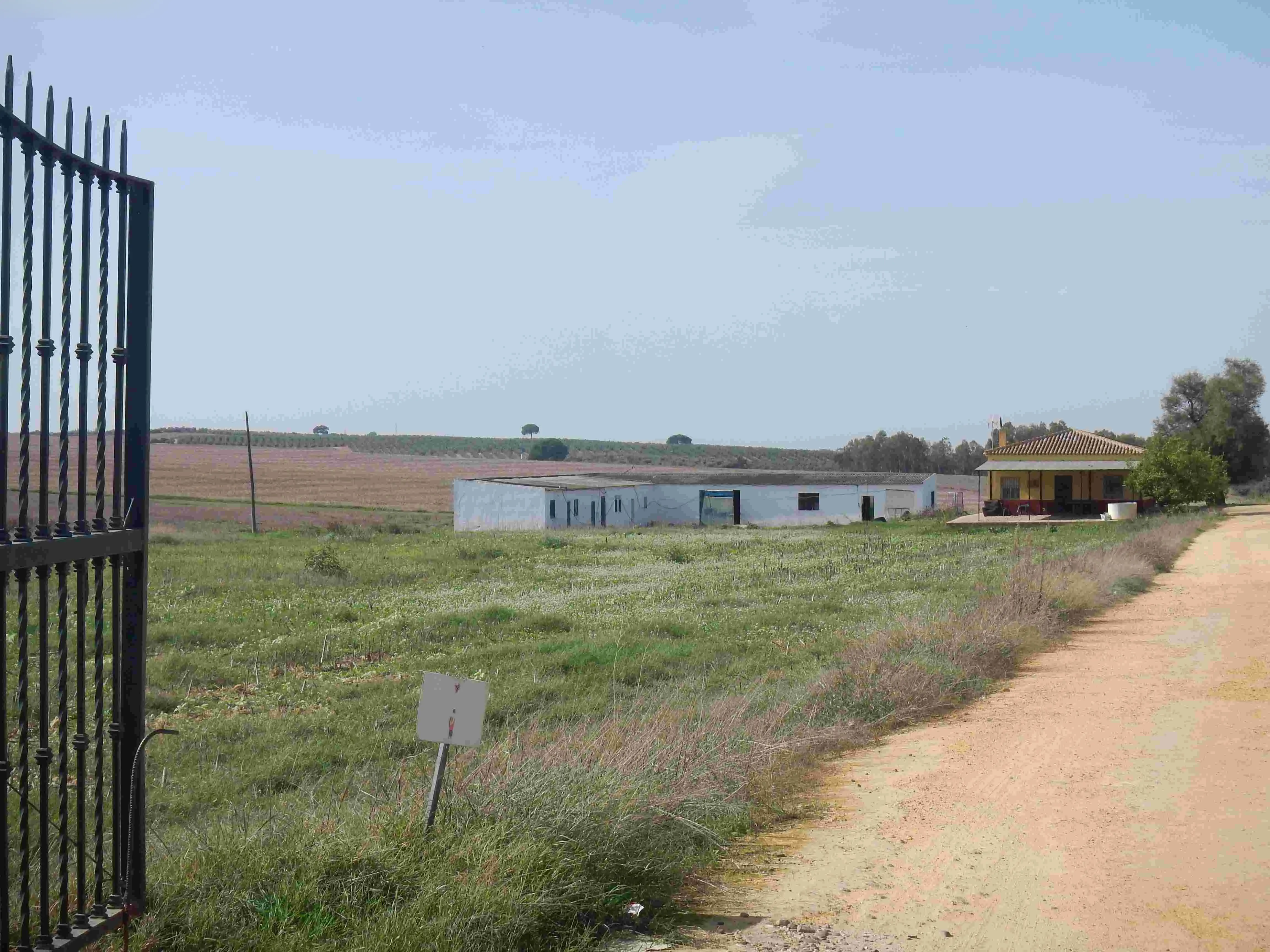 Finca rústica en Carmona