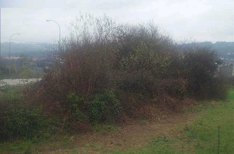Terreno en Lalín