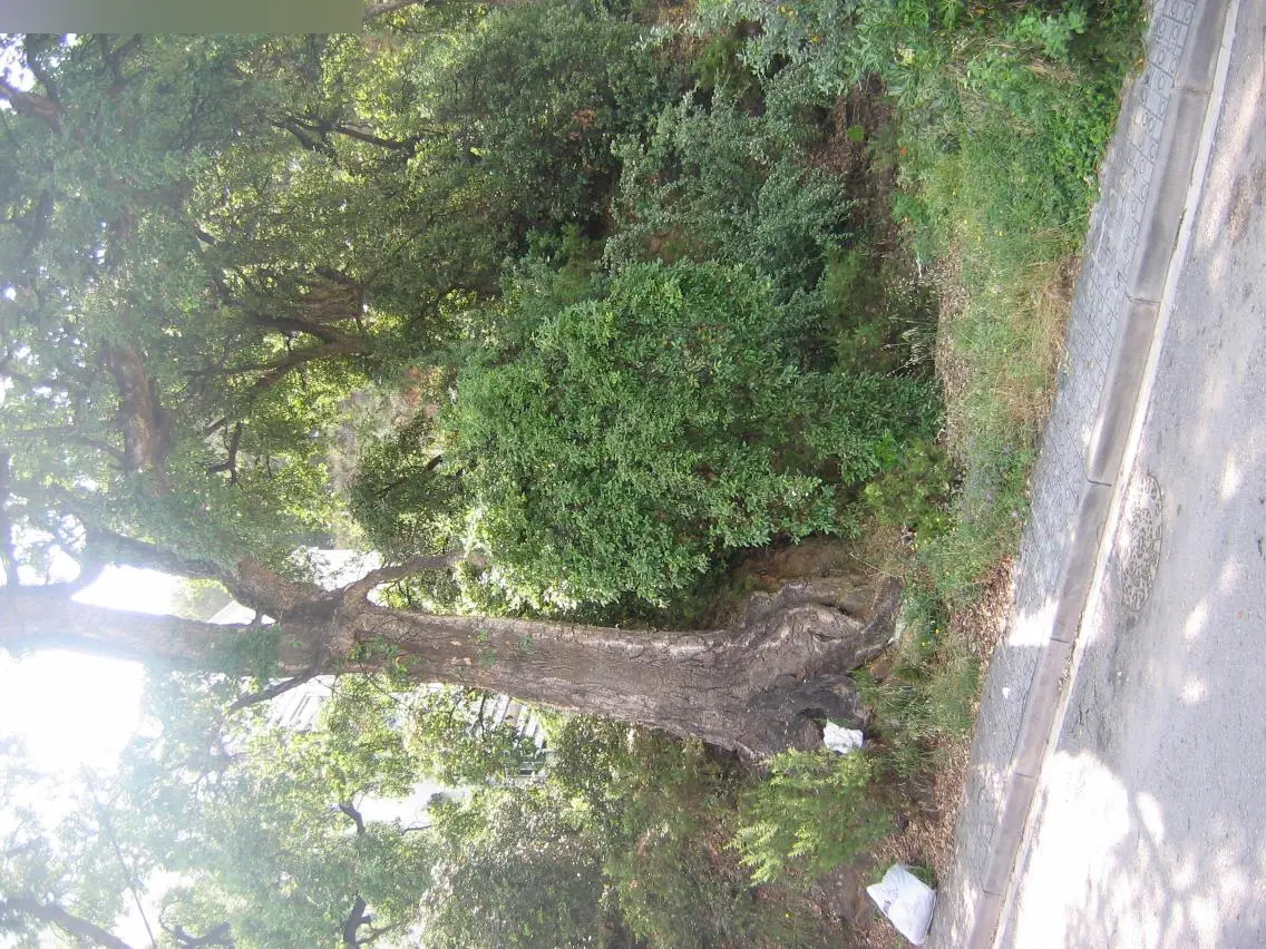Terreno en Sant Andreu de Llavaneres