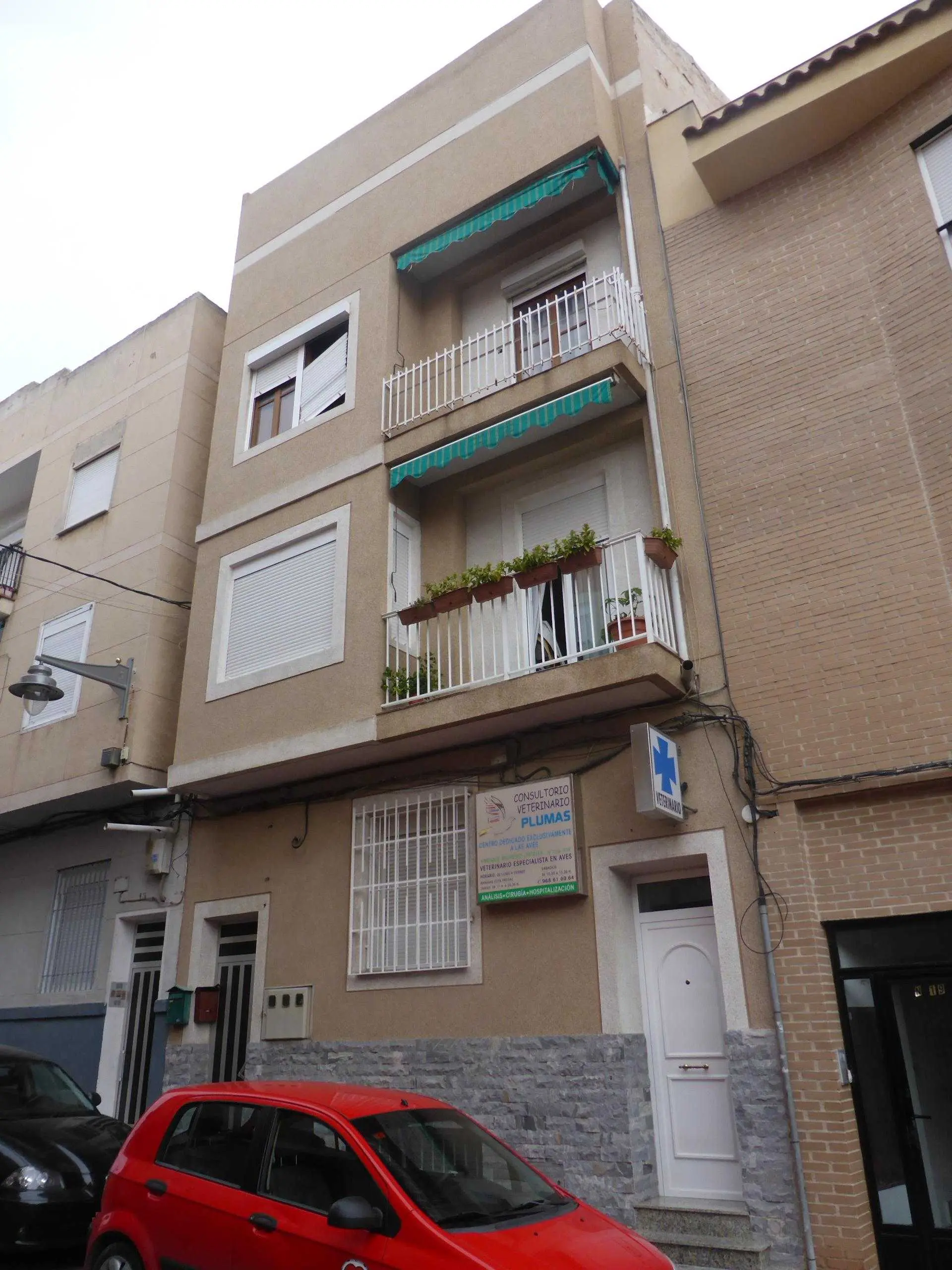 Local en Molina de Segura