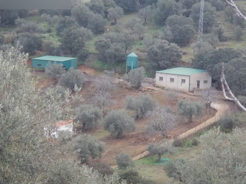 Finca rústica en Salvaleón