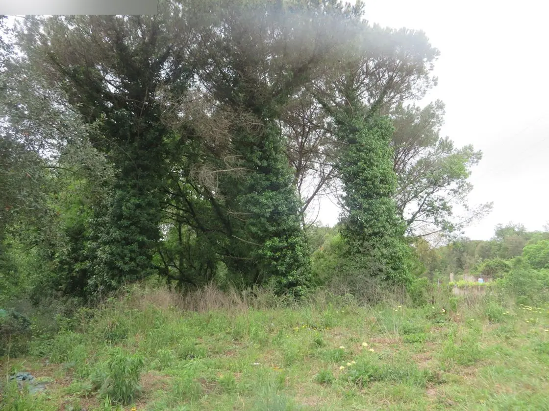 Terreno en Sant Feliu de Buixalleu