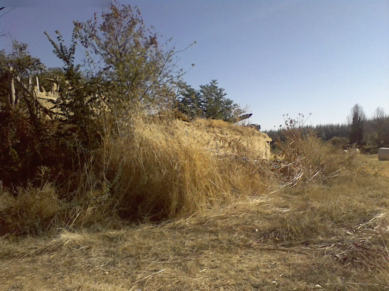 Trastero en Benavente