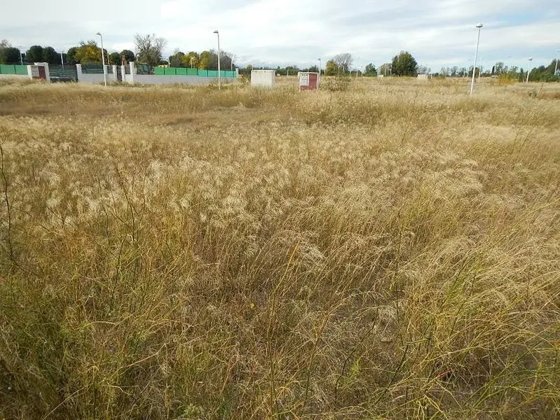 Terreno en Pinseque