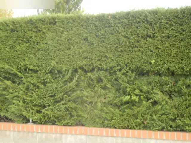 Terreno en Valdemaqueda