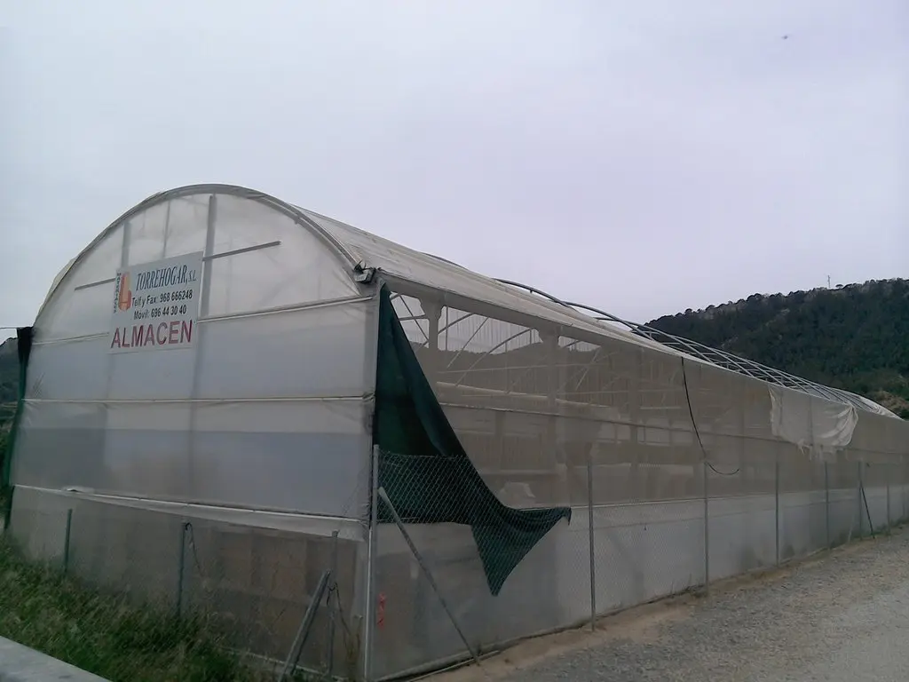 Finca rústica en Pliego