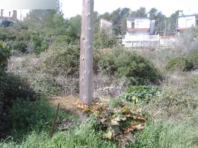 Terreno en Canyelles