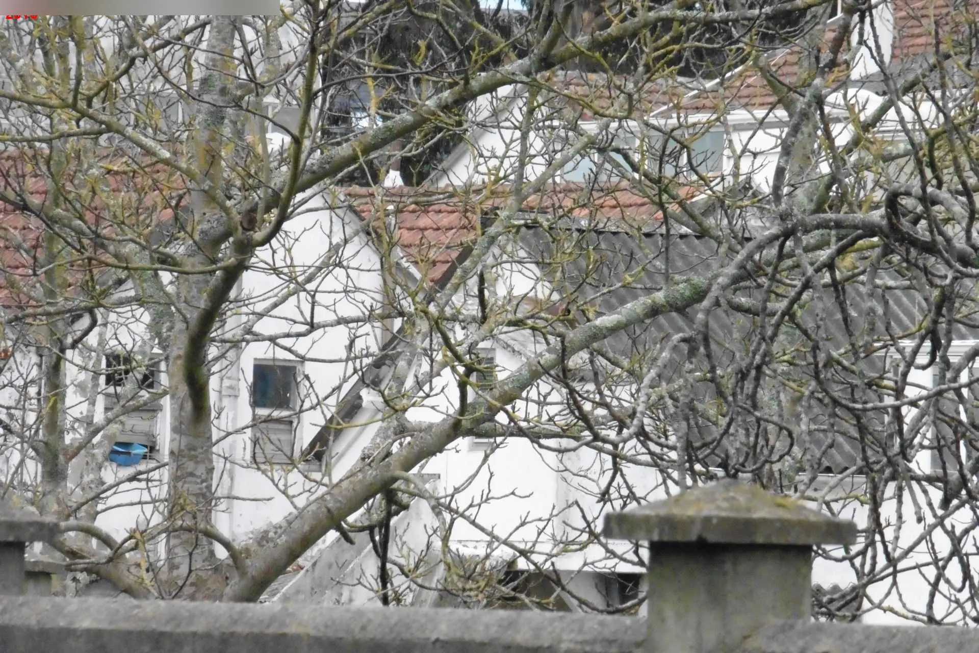Vivienda en Narón