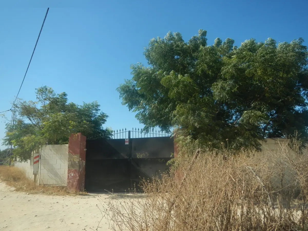 Finca rústica en Alcalá de Guadaíra