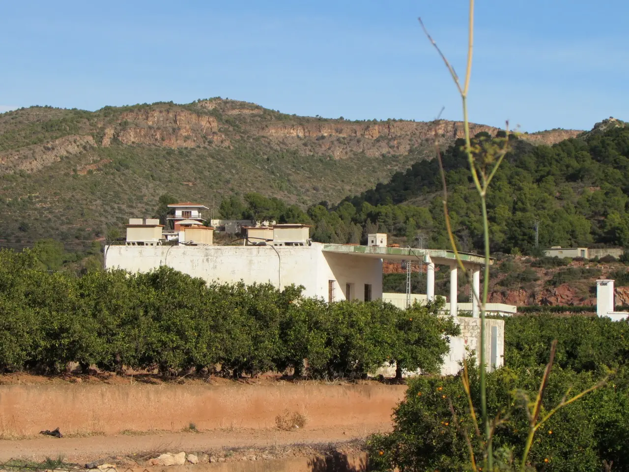 Finca rústica en Puçol