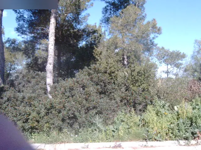Terreno en Canyelles