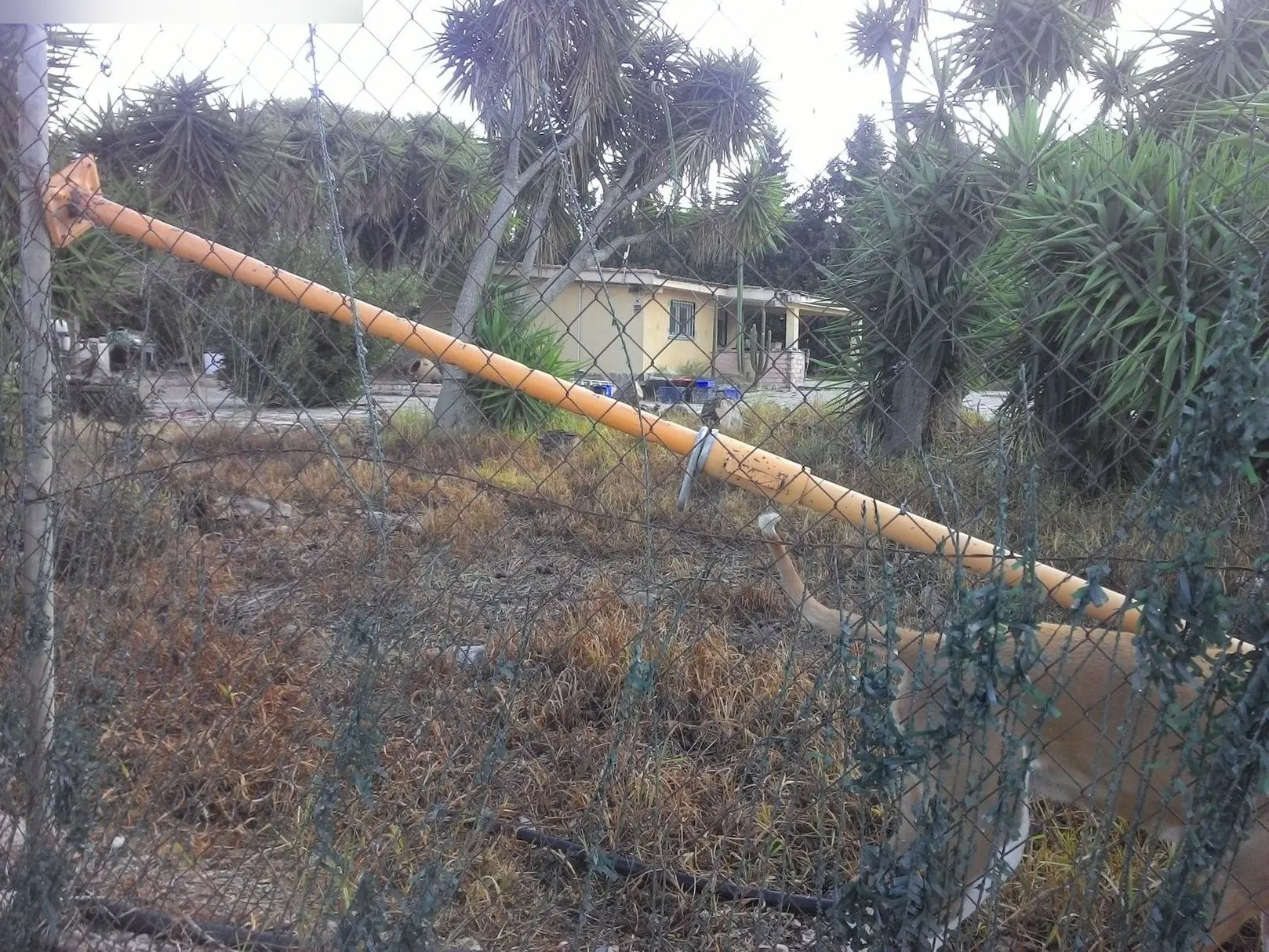 Vivienda en Santa Magdalena de Pulpis