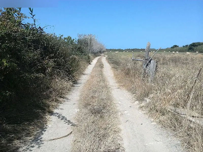 Vivienda en Pollença