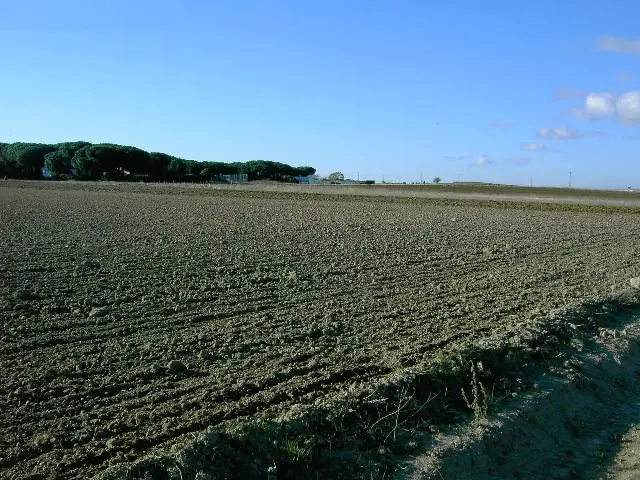 Finca rústica en Laguna de Duero