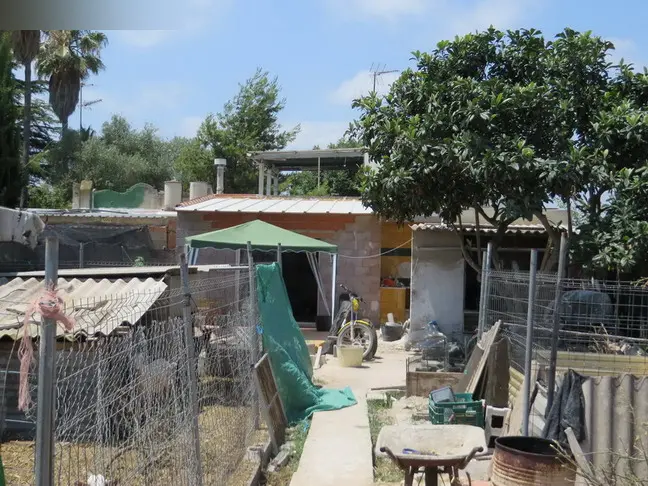Finca rústica en Borriana