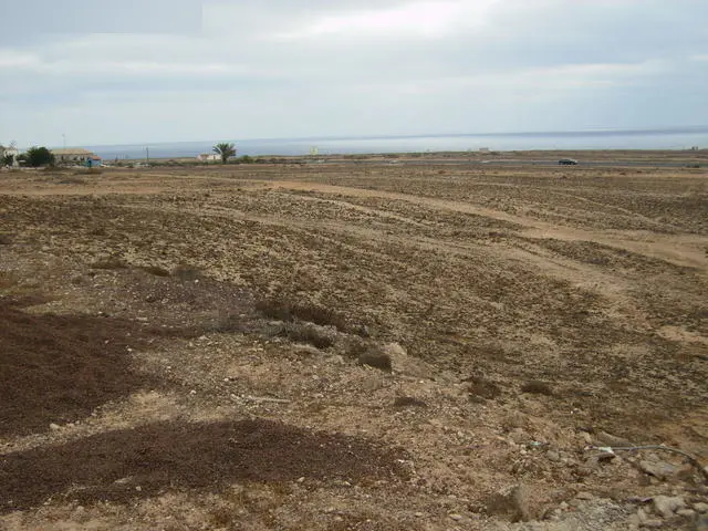 Terreno en La Oliva