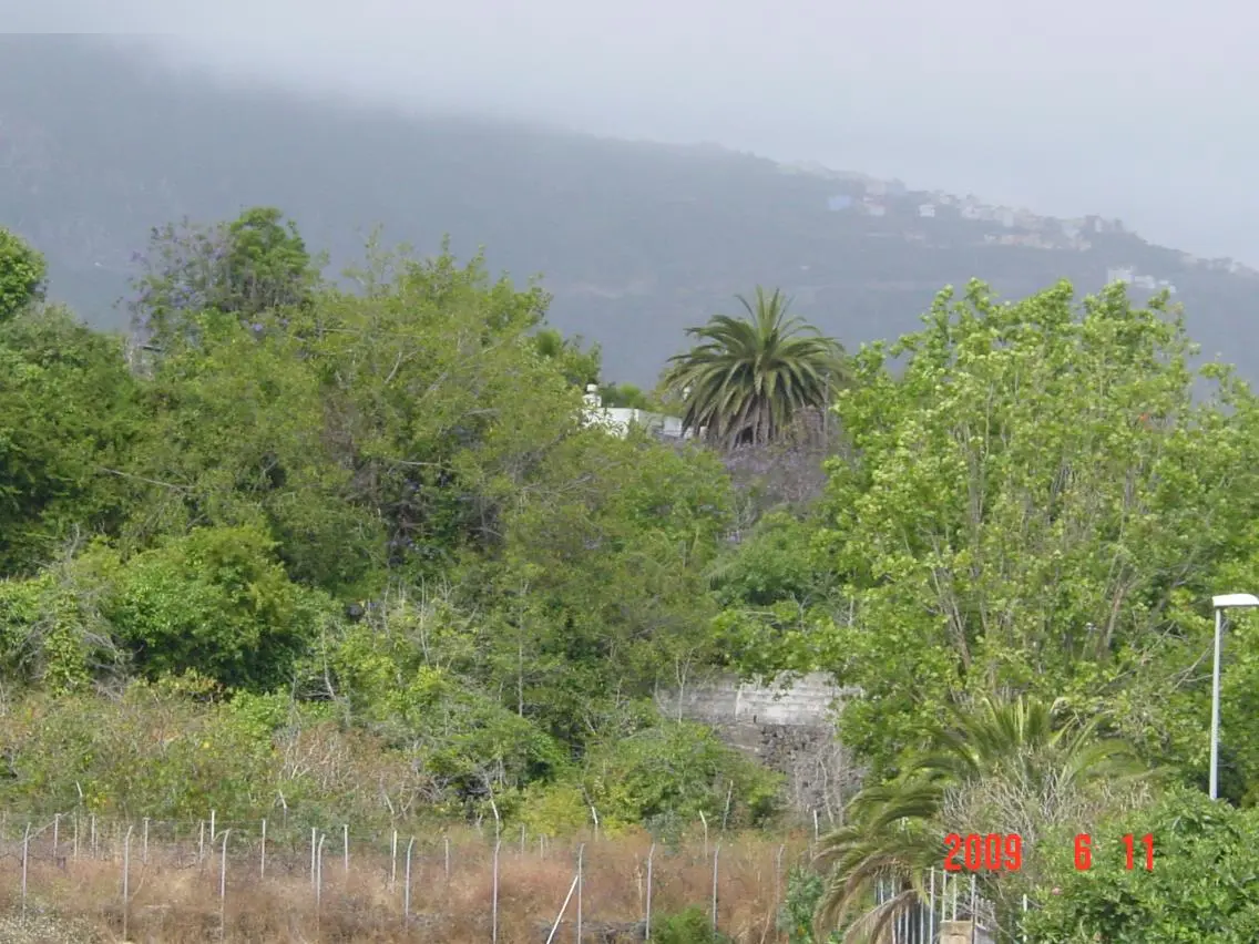 Finca rústica en Los Realejos