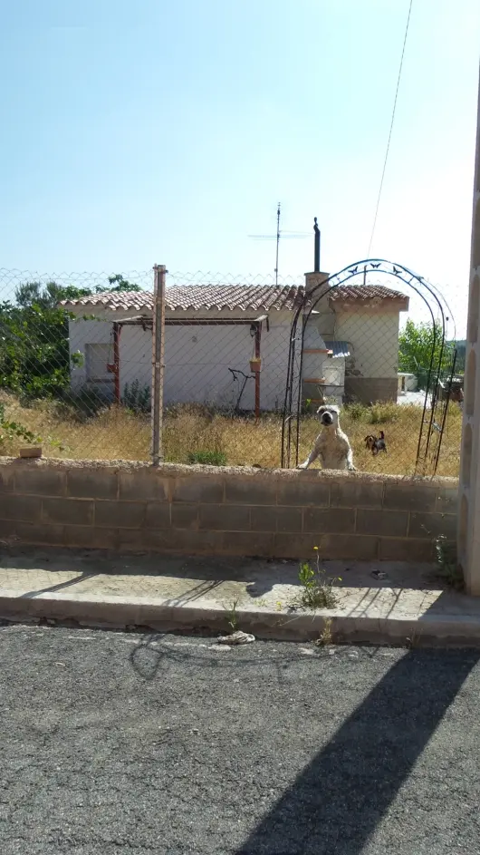 Vivienda en El Montmell