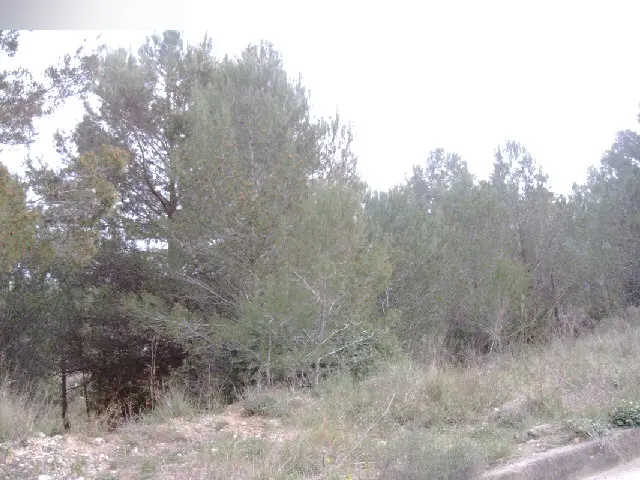 Terreno en Canyelles