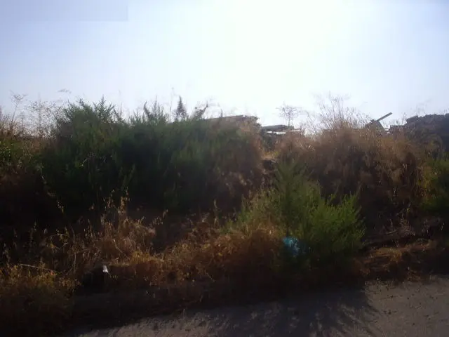 Terreno en Estepona