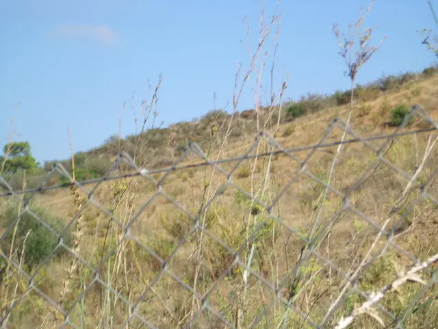 Terreno en Estepona