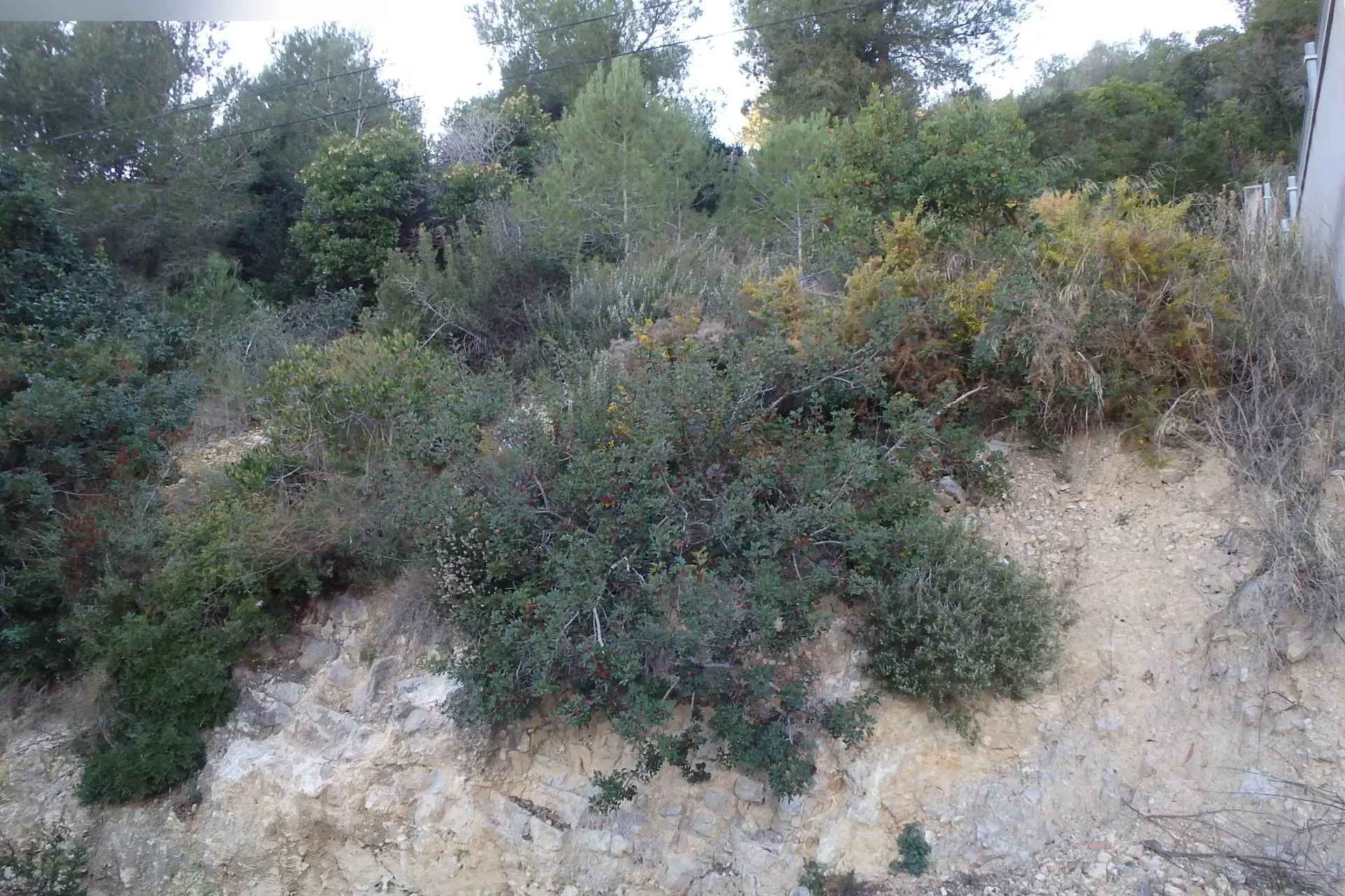 Terreno en Cunit