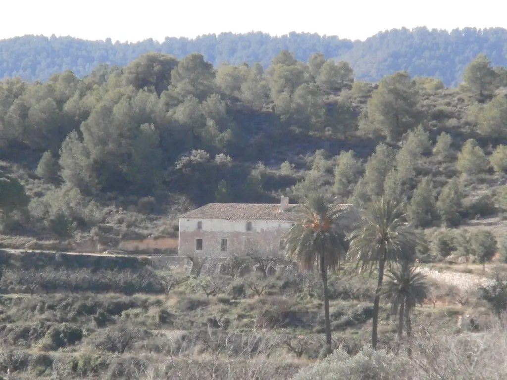 Finca rústica en Caravaca de la Cruz