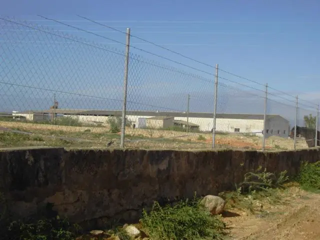 Nave en Palma