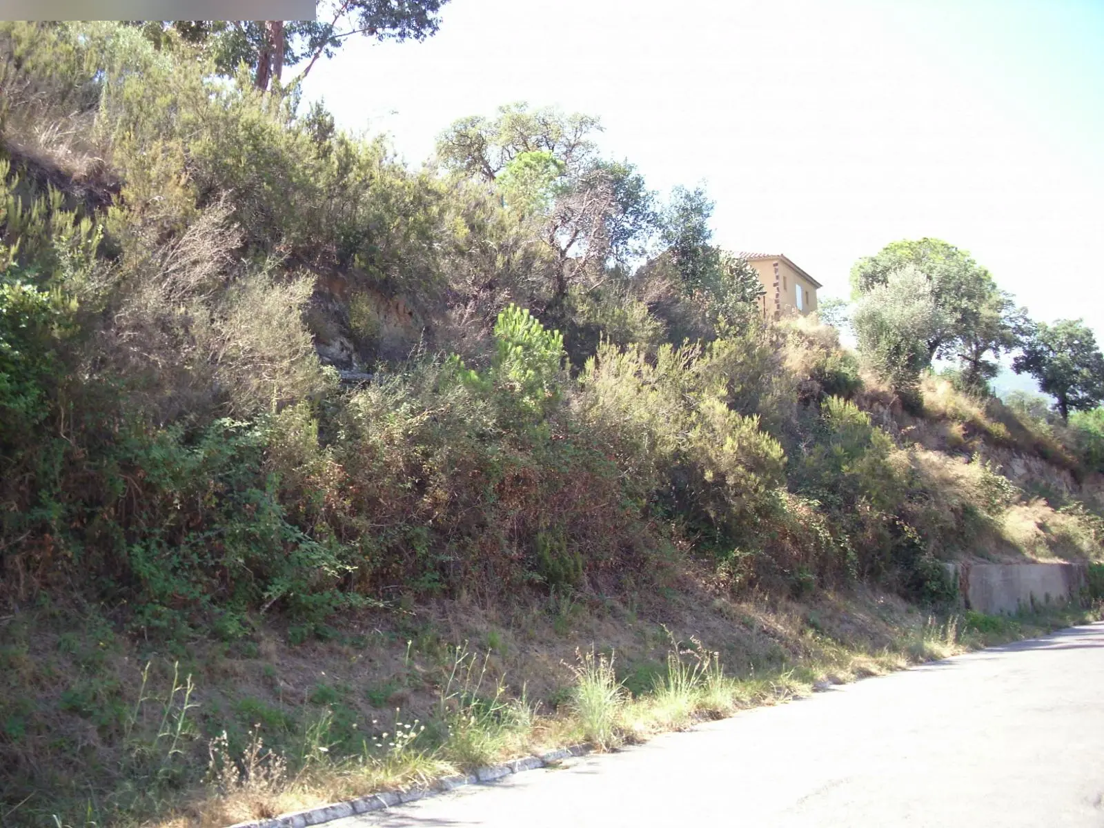 Terreno en Platja d'Aro i s'Agaró Castell d'Aro