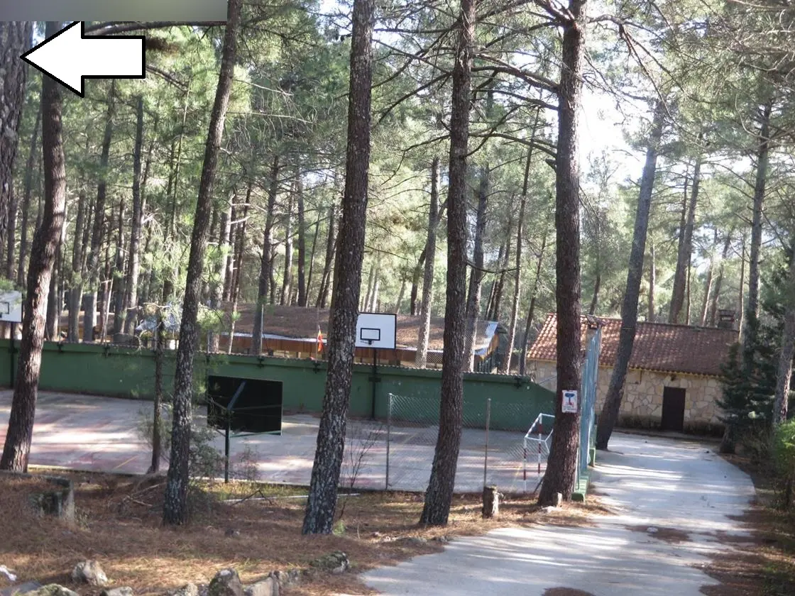 Finca rústica en Piedralaves