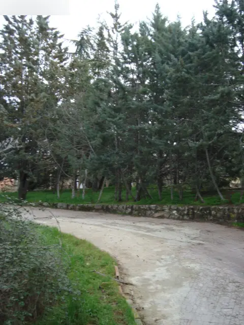 Vivienda en Cobeña