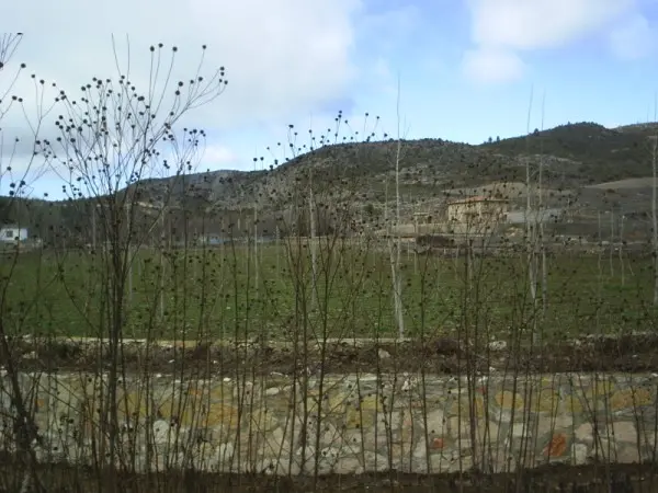 Terreno en El Recuenco