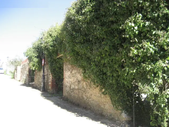Vivienda en Fuenteheridos