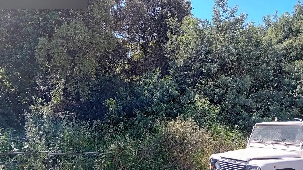 Terreno en Calonge i Sant Antoni