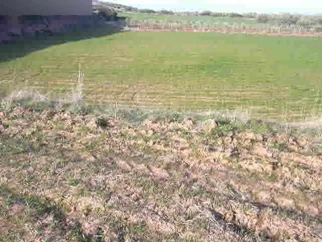 Terreno en Nalda