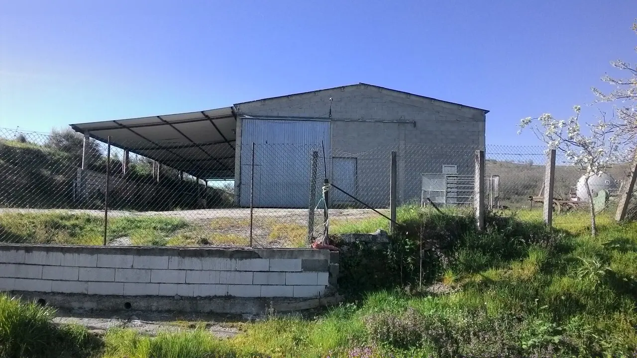 Finca rústica en O Bolo