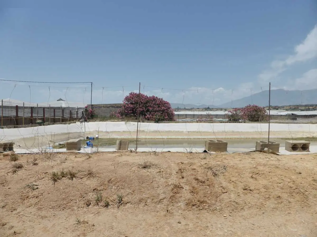 Finca rústica en El Ejido